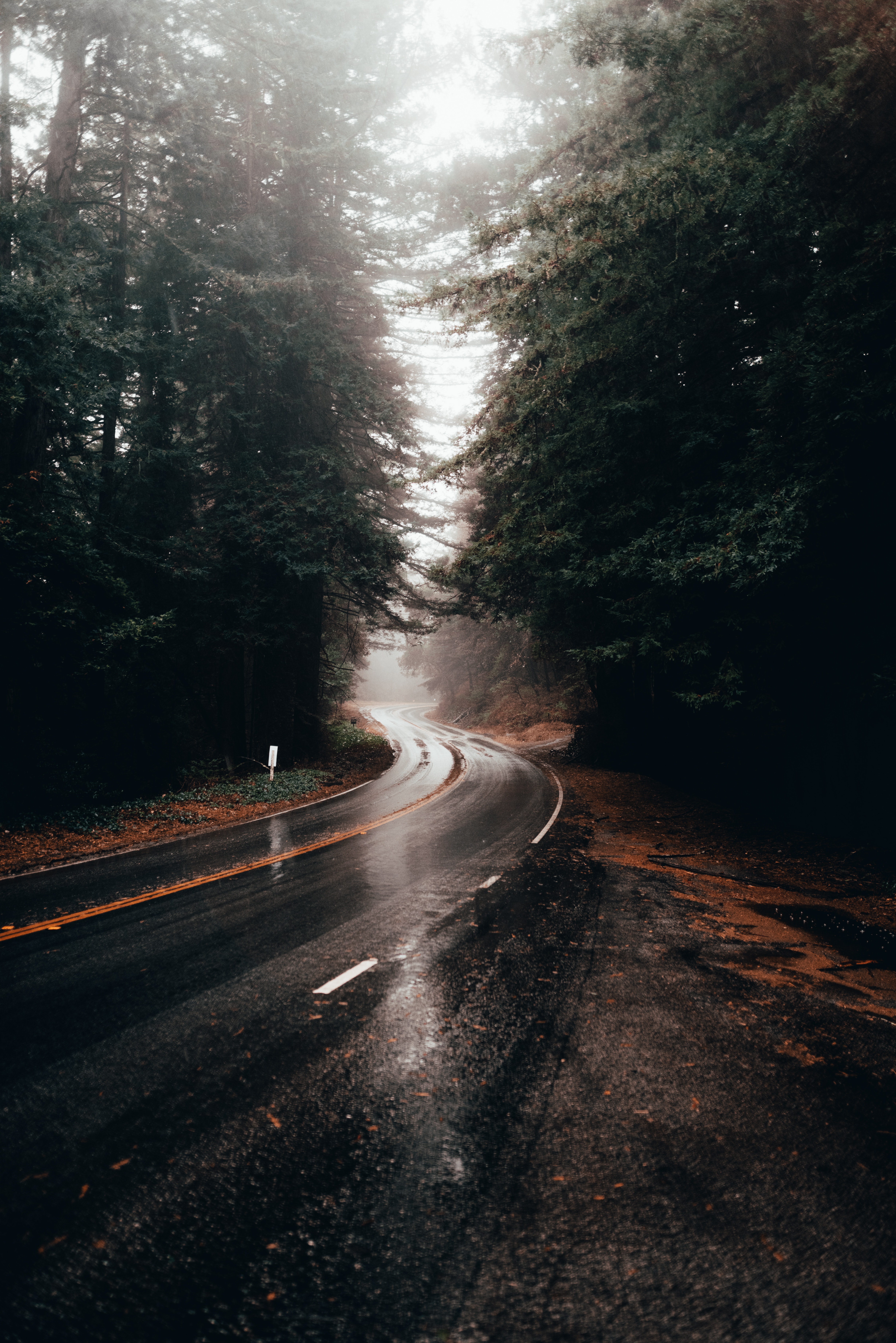 Rainy Road Wallpapers