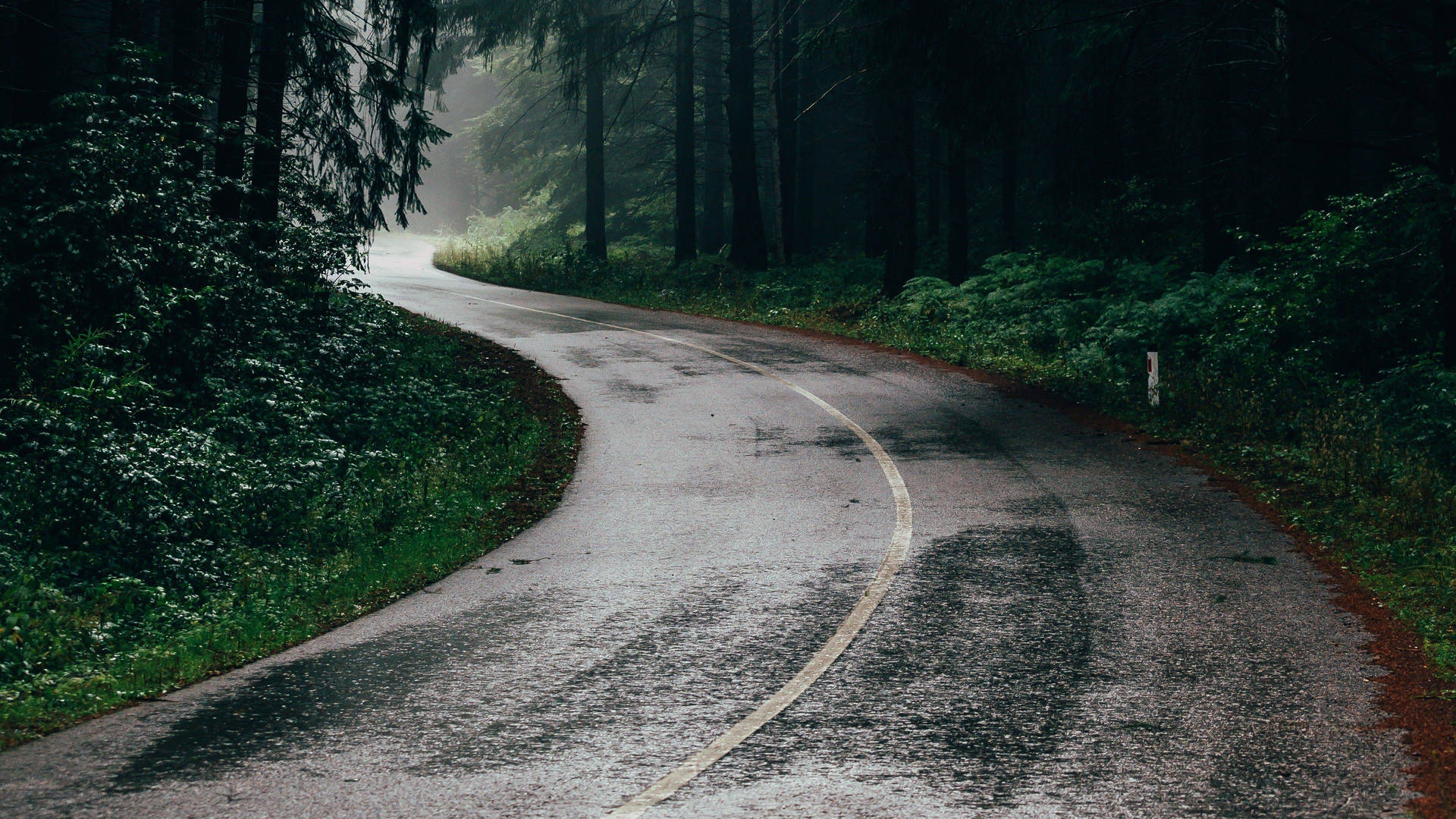 Rainy Road Wallpapers