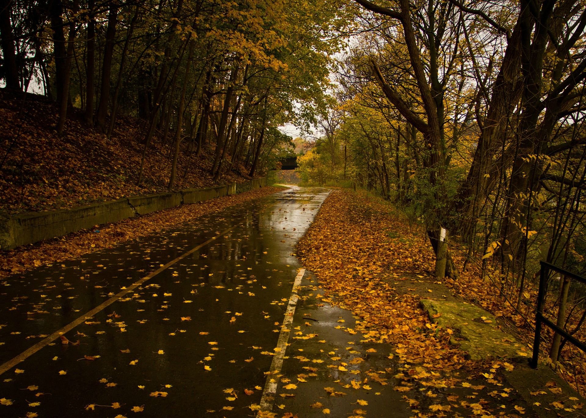 Rainy Road Wallpapers