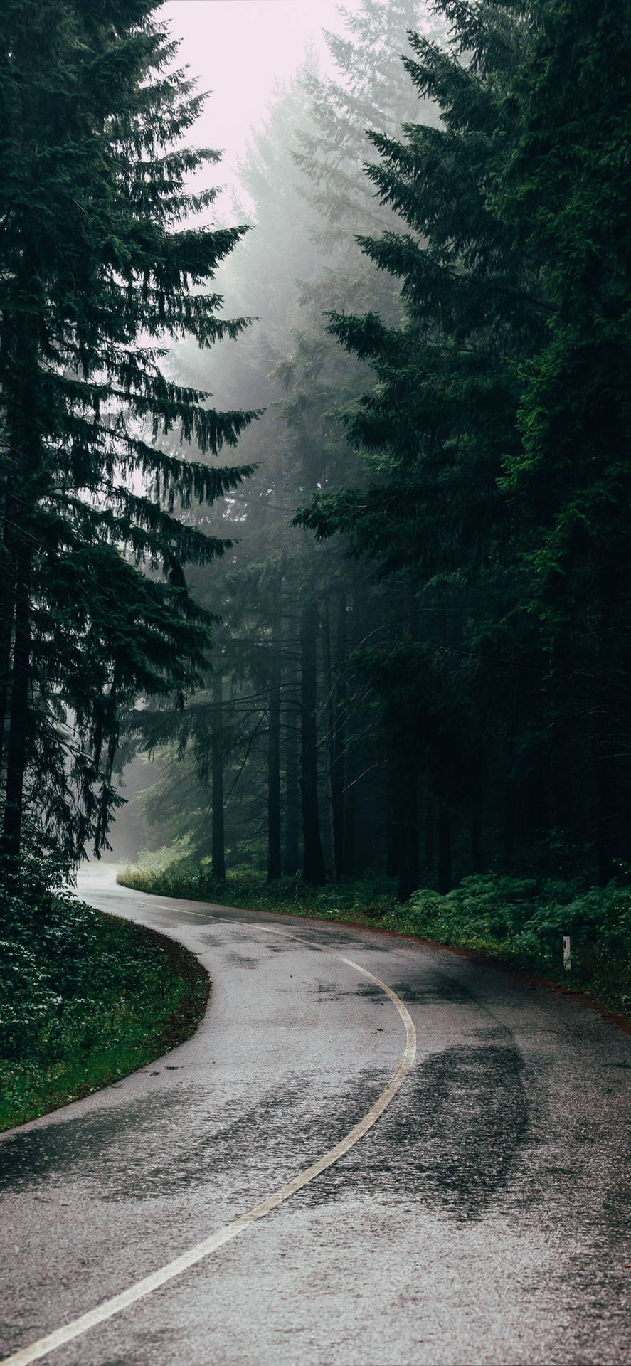 Rainy Road Wallpapers