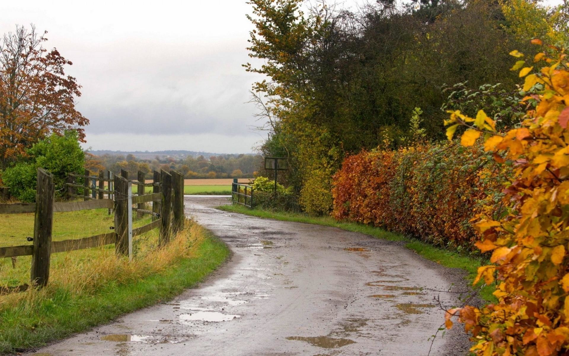 Rainy Road Wallpapers