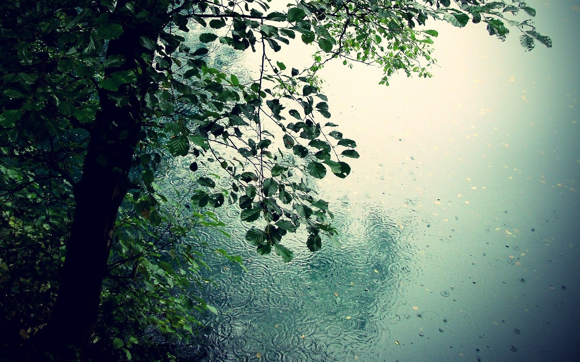 Rainy Scenery Wallpapers