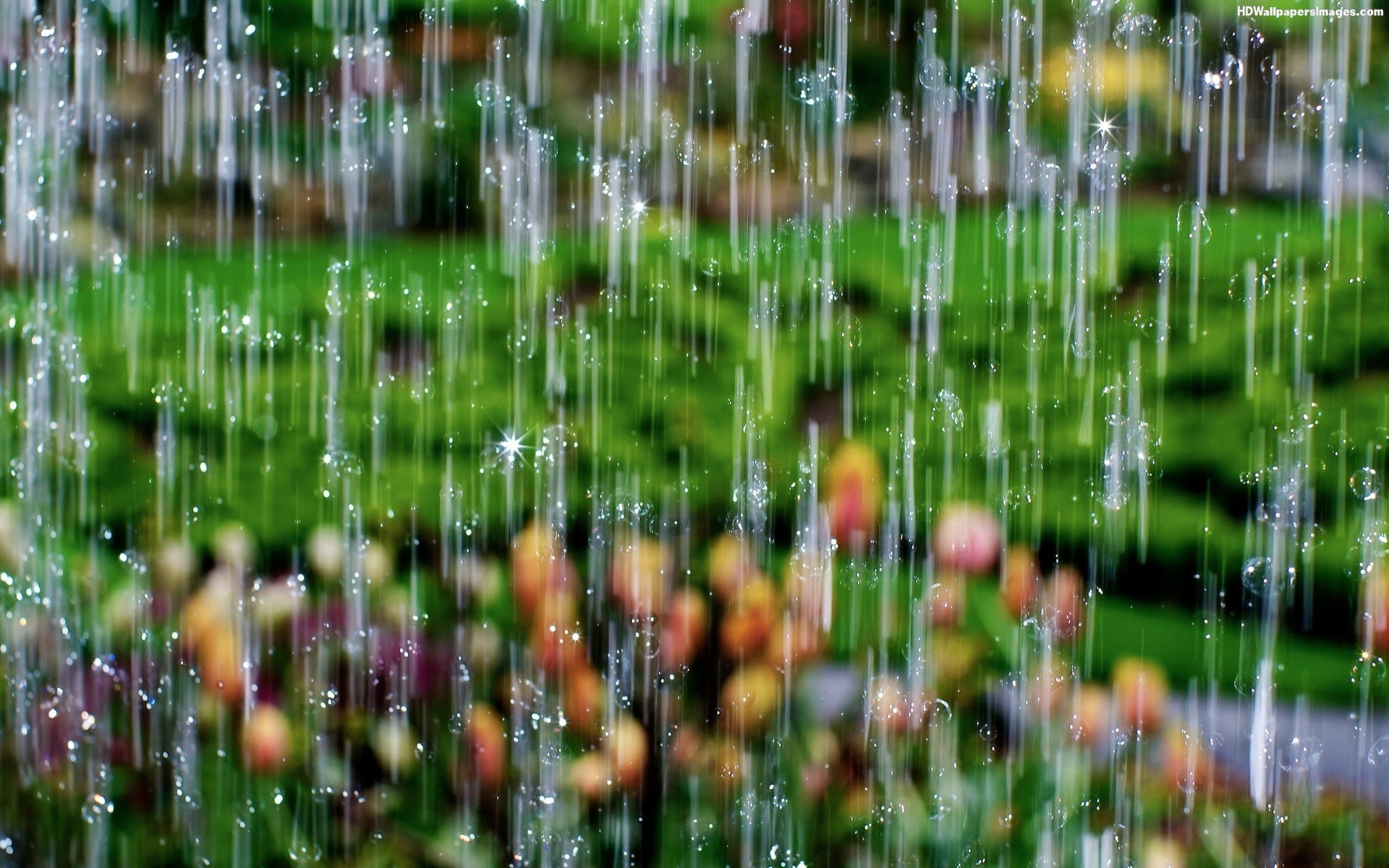 Rainy Spring Wallpapers