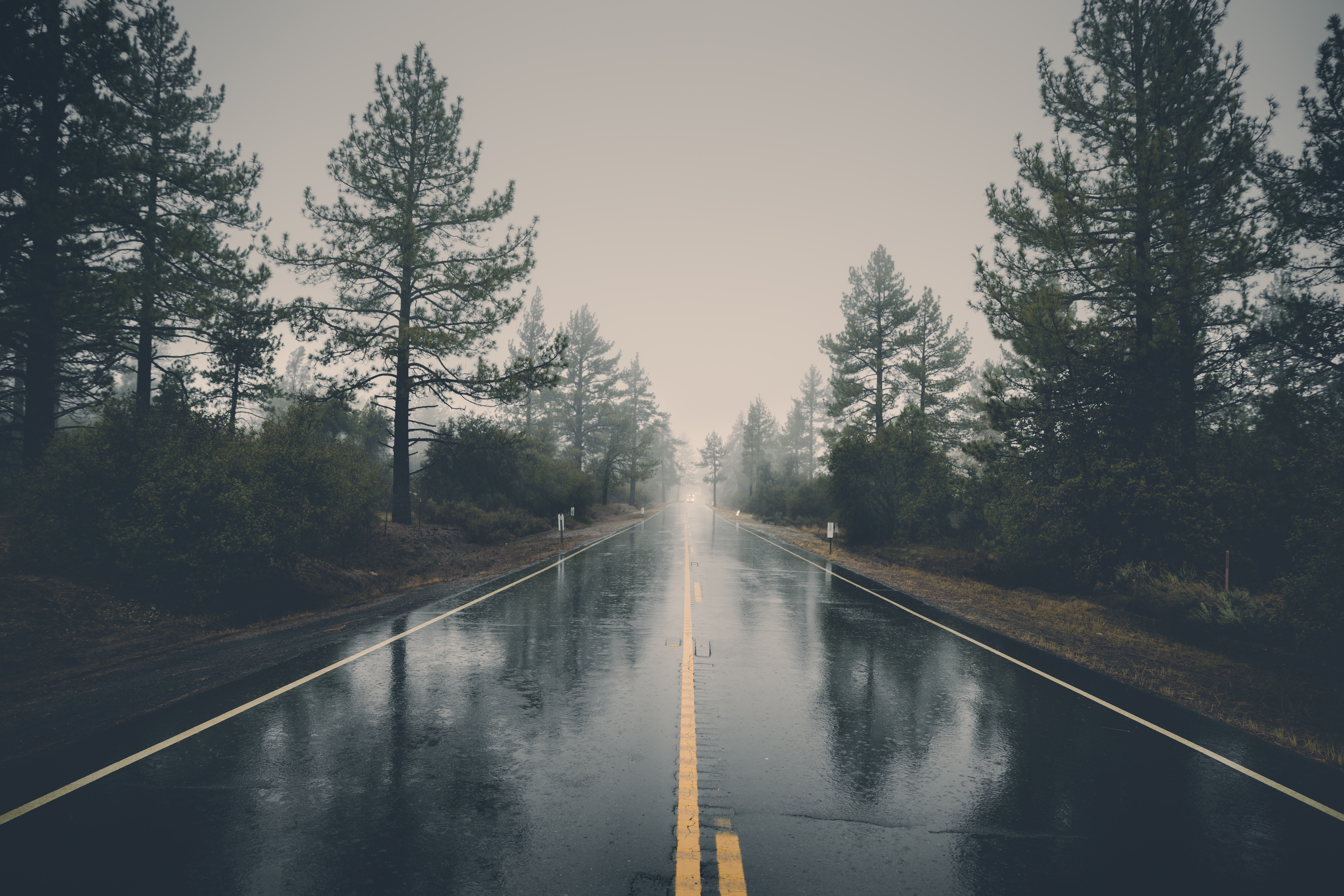 Rainy Weather Background