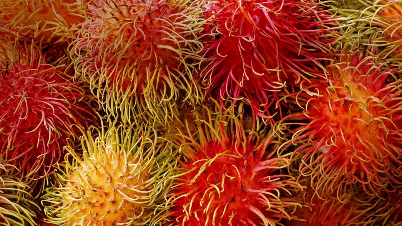 Rambutan Wallpapers