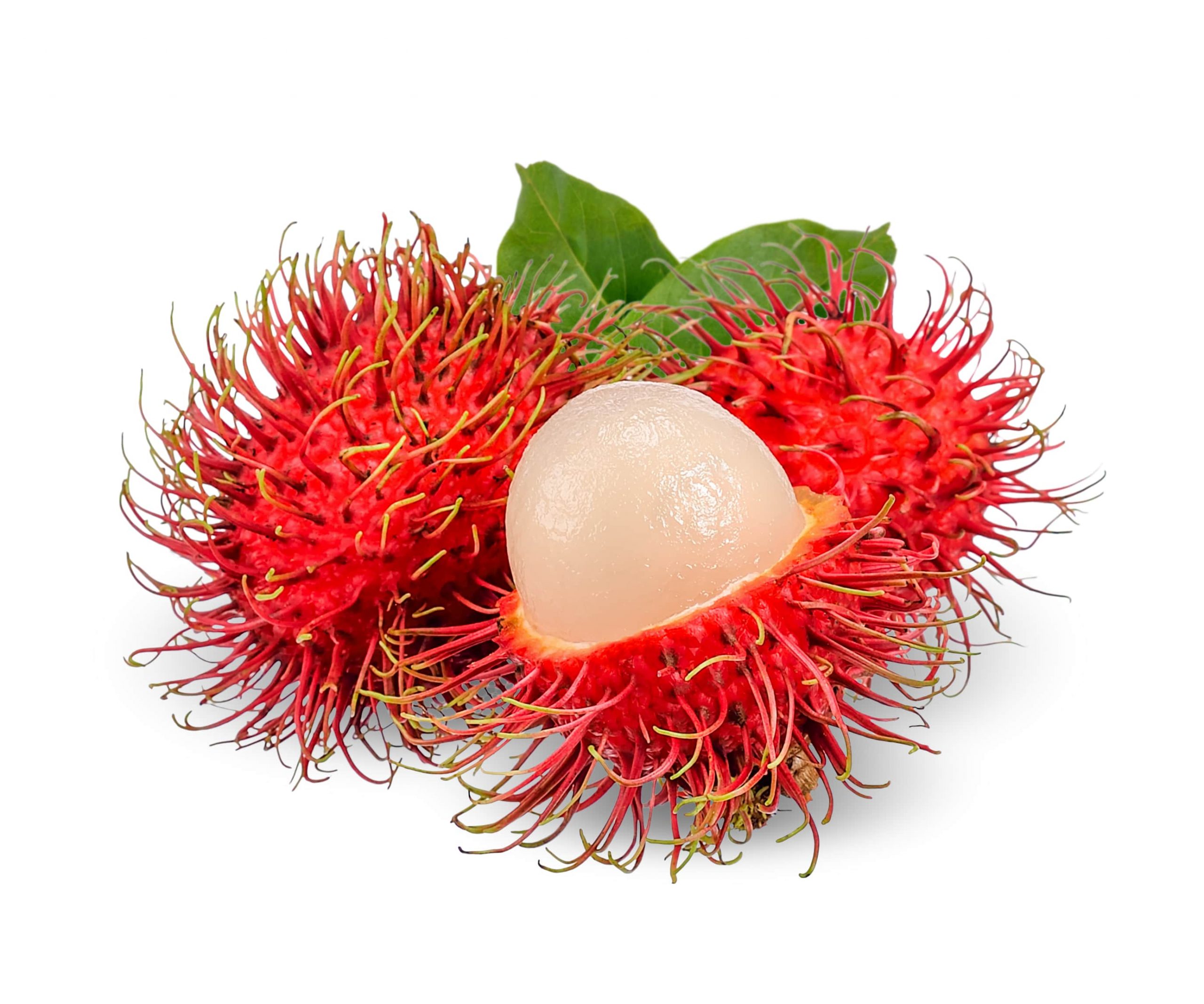 Rambutan Wallpapers