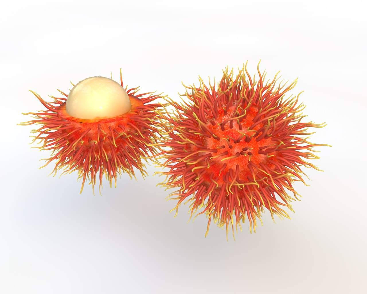 Rambutan Wallpapers