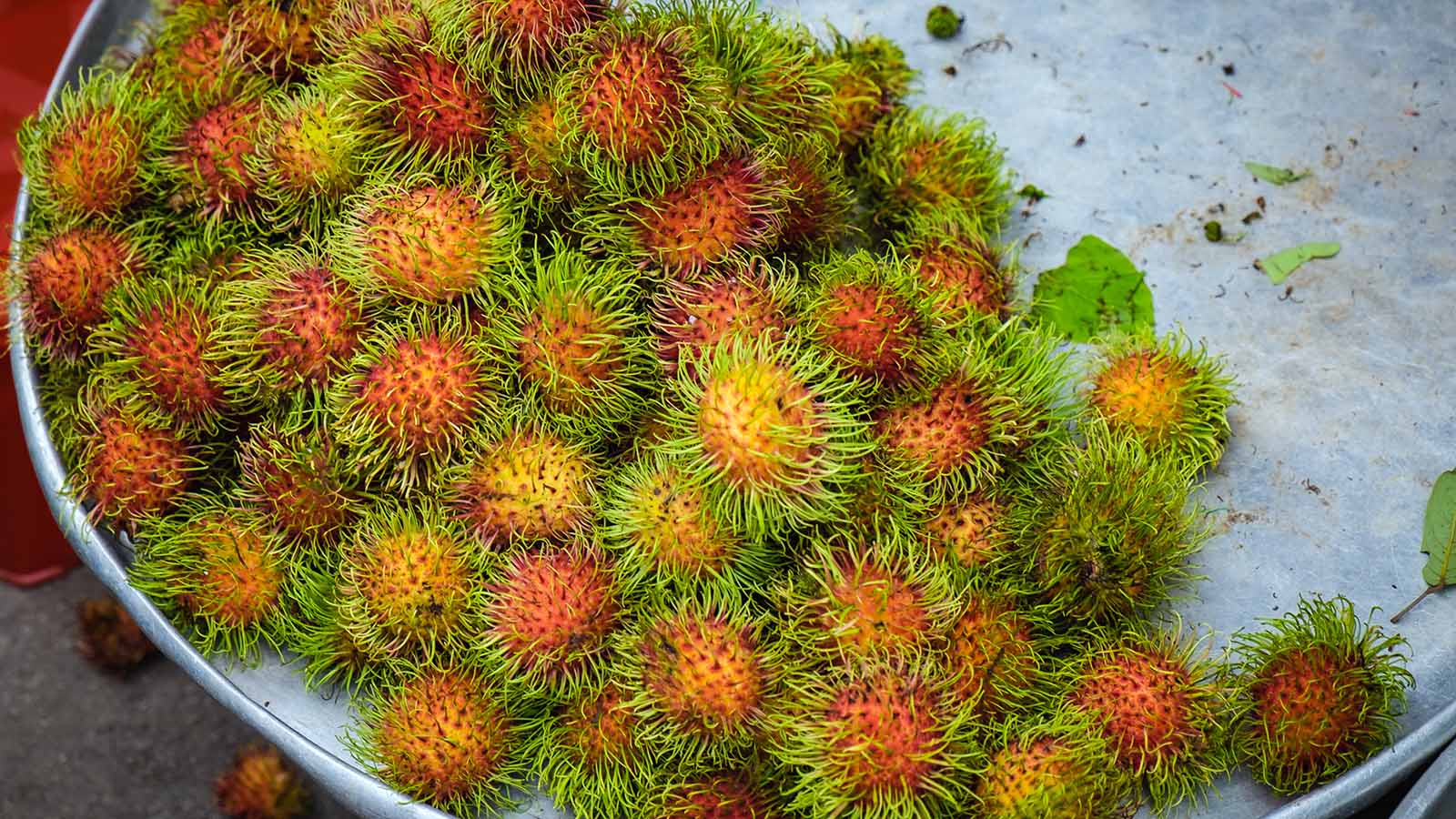 Rambutan Wallpapers