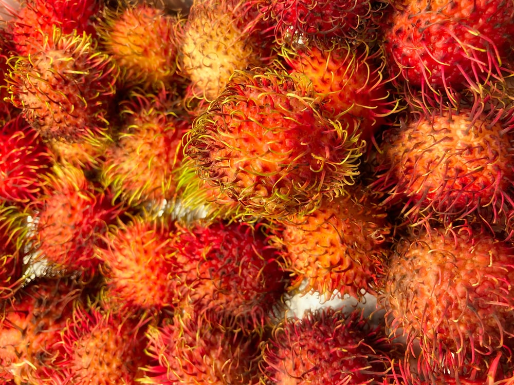 Rambutan Wallpapers