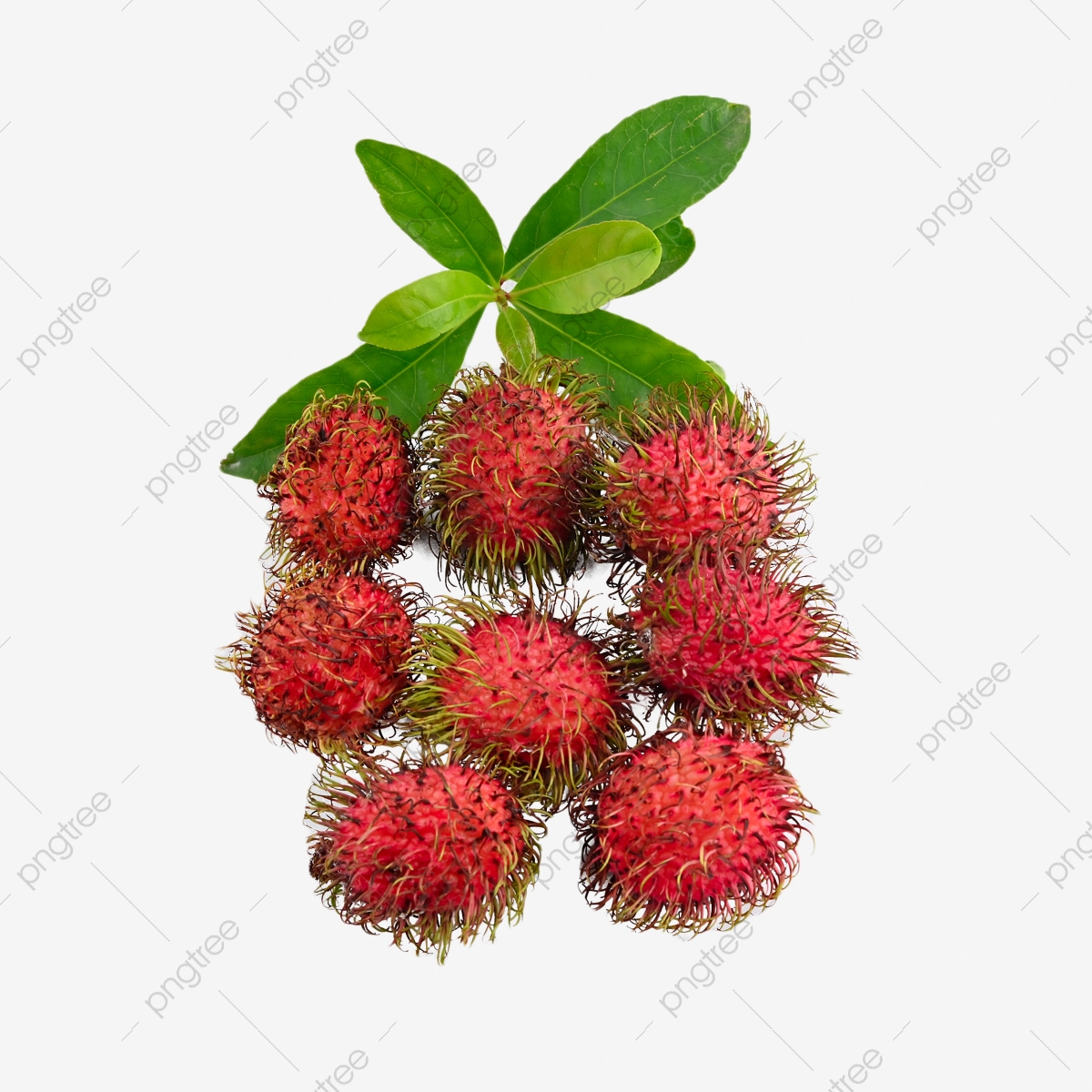 Rambutan Wallpapers