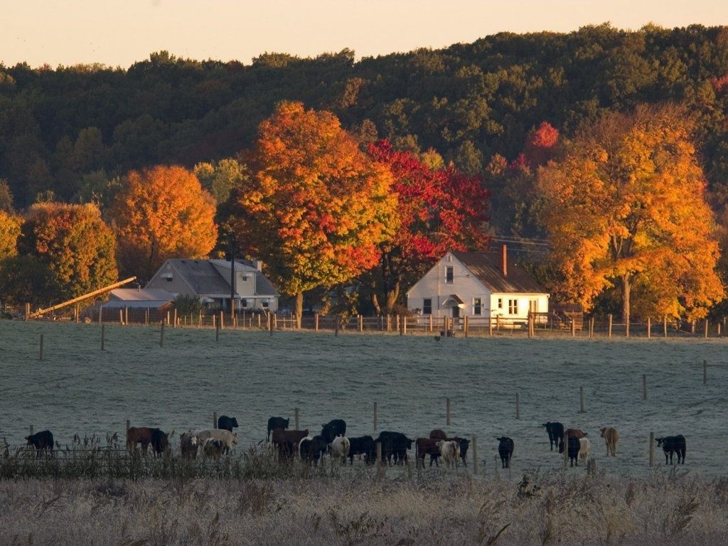 Ranch In Fall Wallpapers