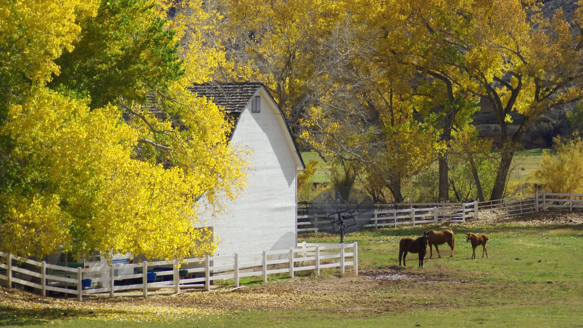 Ranch In Fall Wallpapers