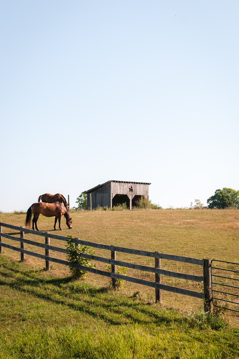 Ranch Wallpapers