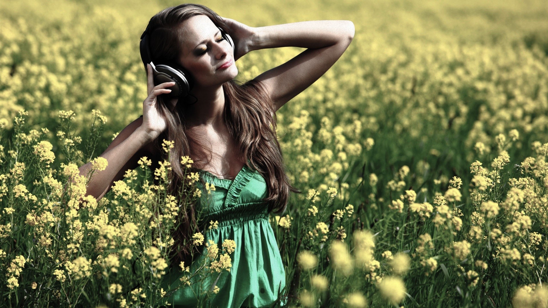 Rapeseed Wallpapers