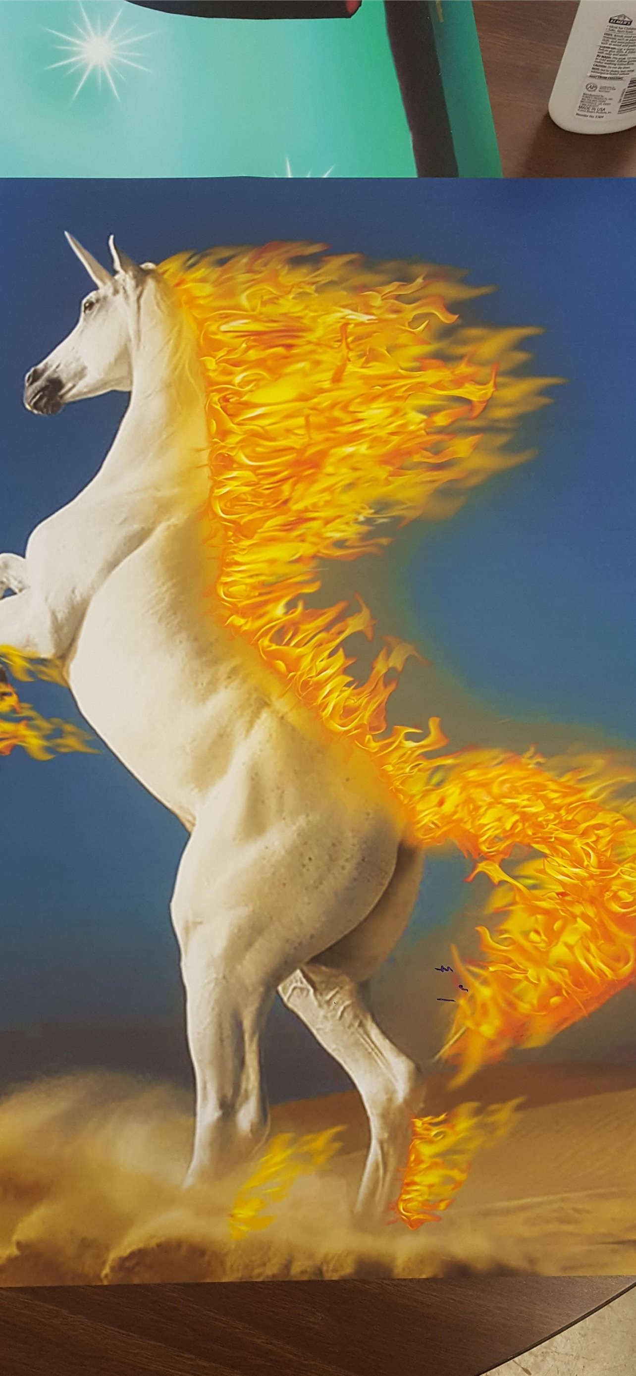 Rapidash Hd Wallpapers