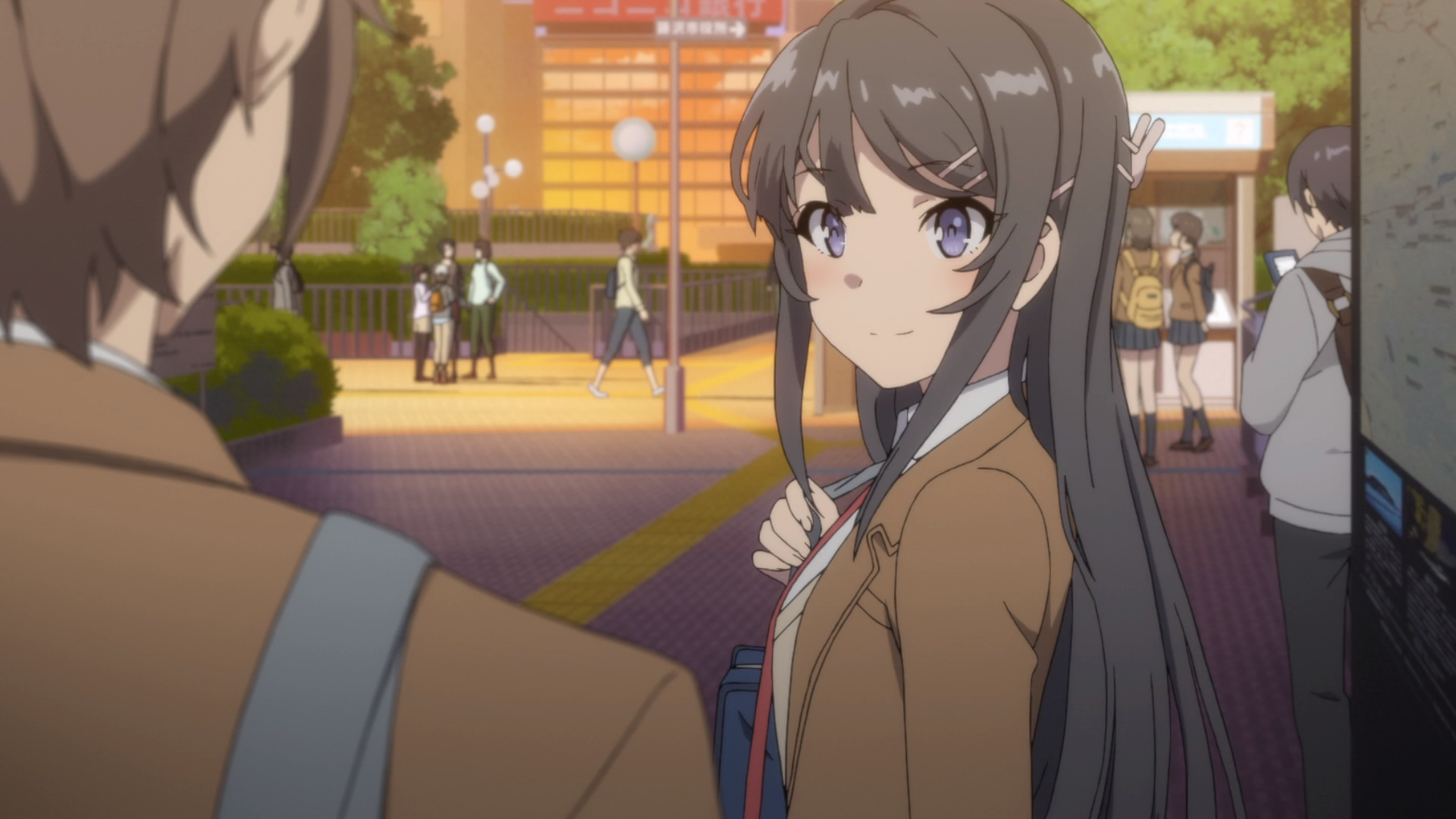 Rascal Does Not Dream Of Bunny Girl Senpai Wallpapers