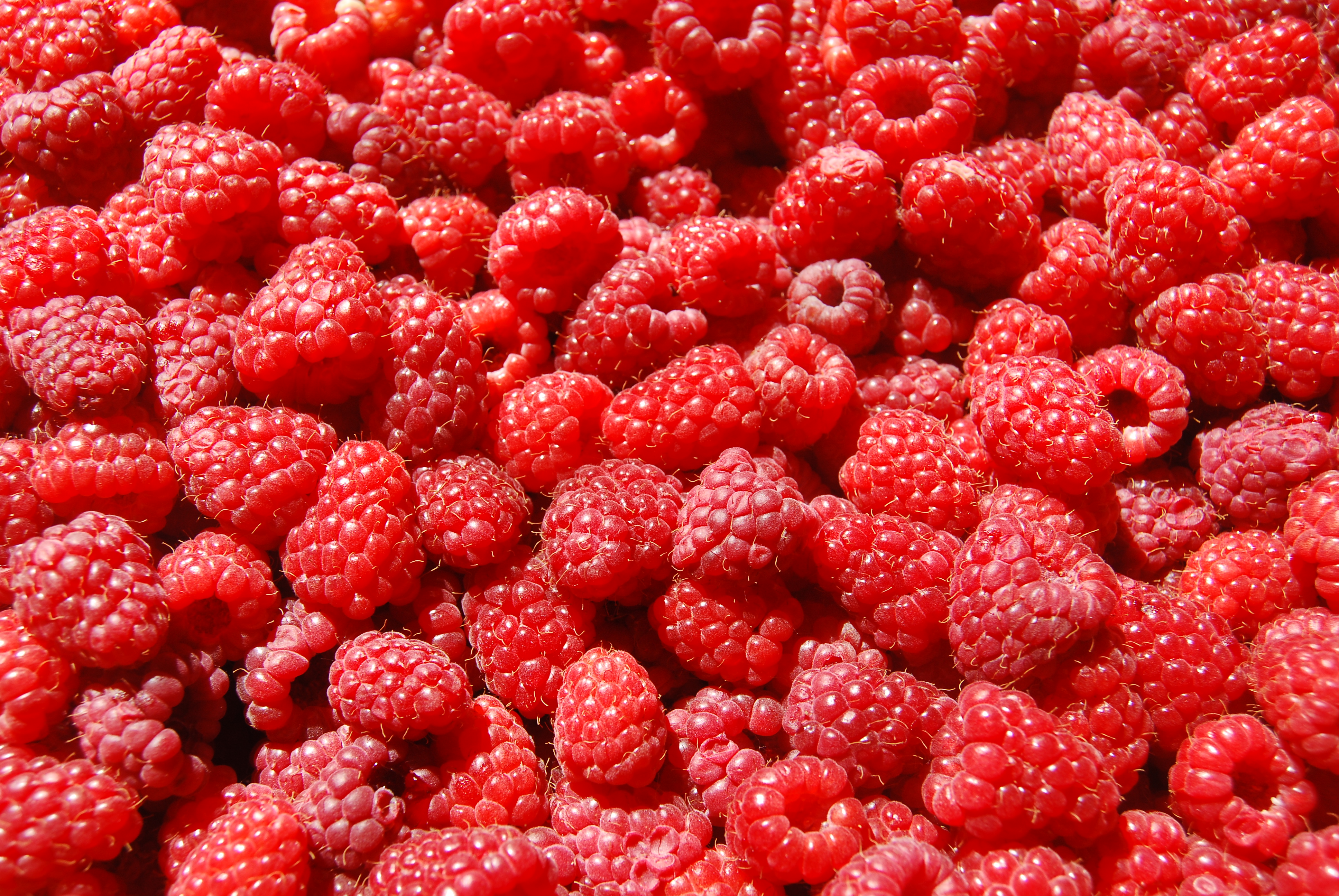 Raspberry Wallpapers