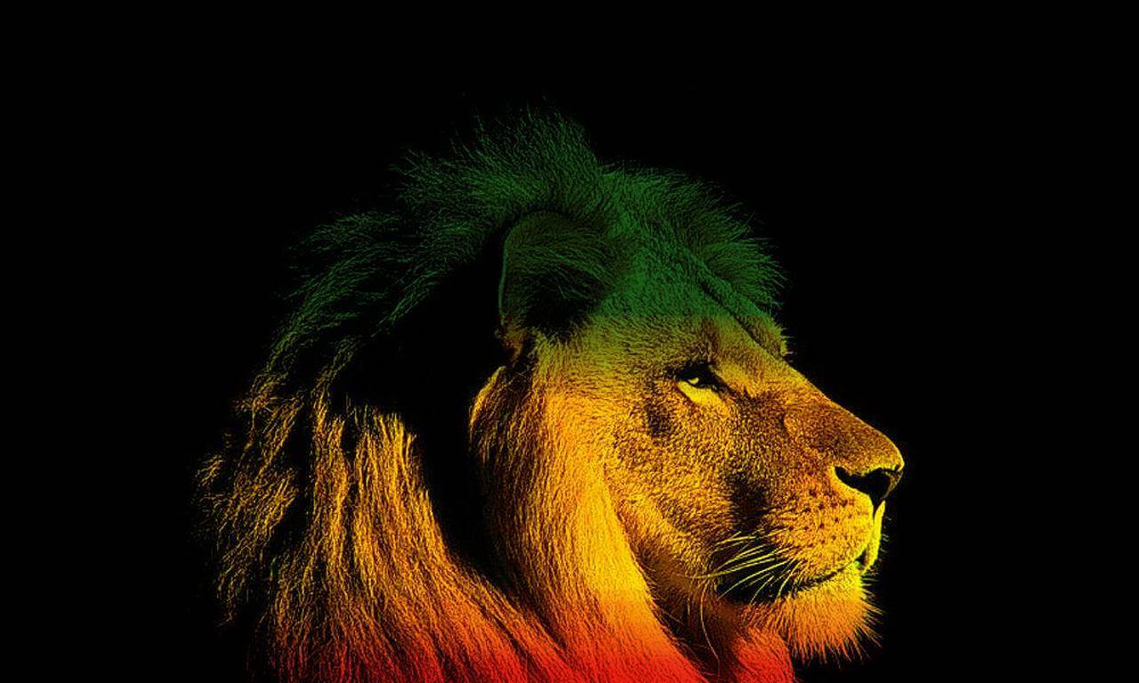 Rastafari Lion Wallpapers