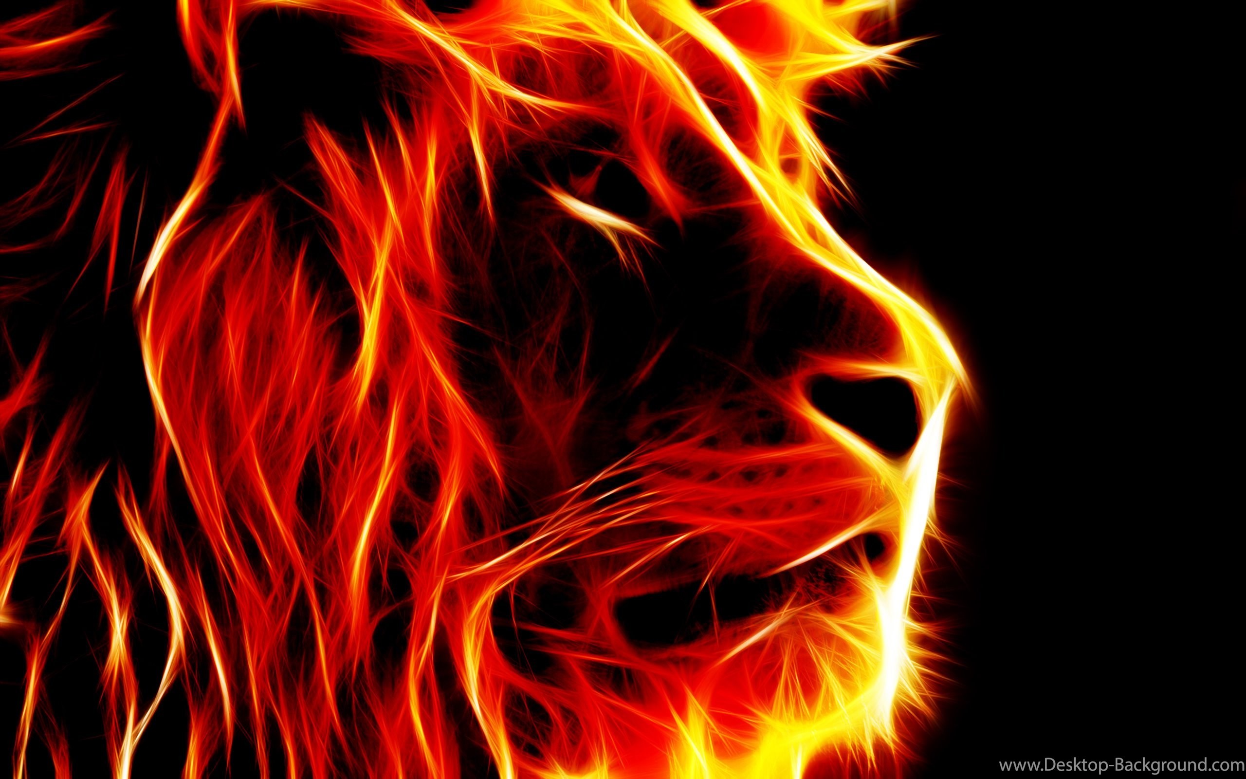 Rastafari Lion Wallpapers