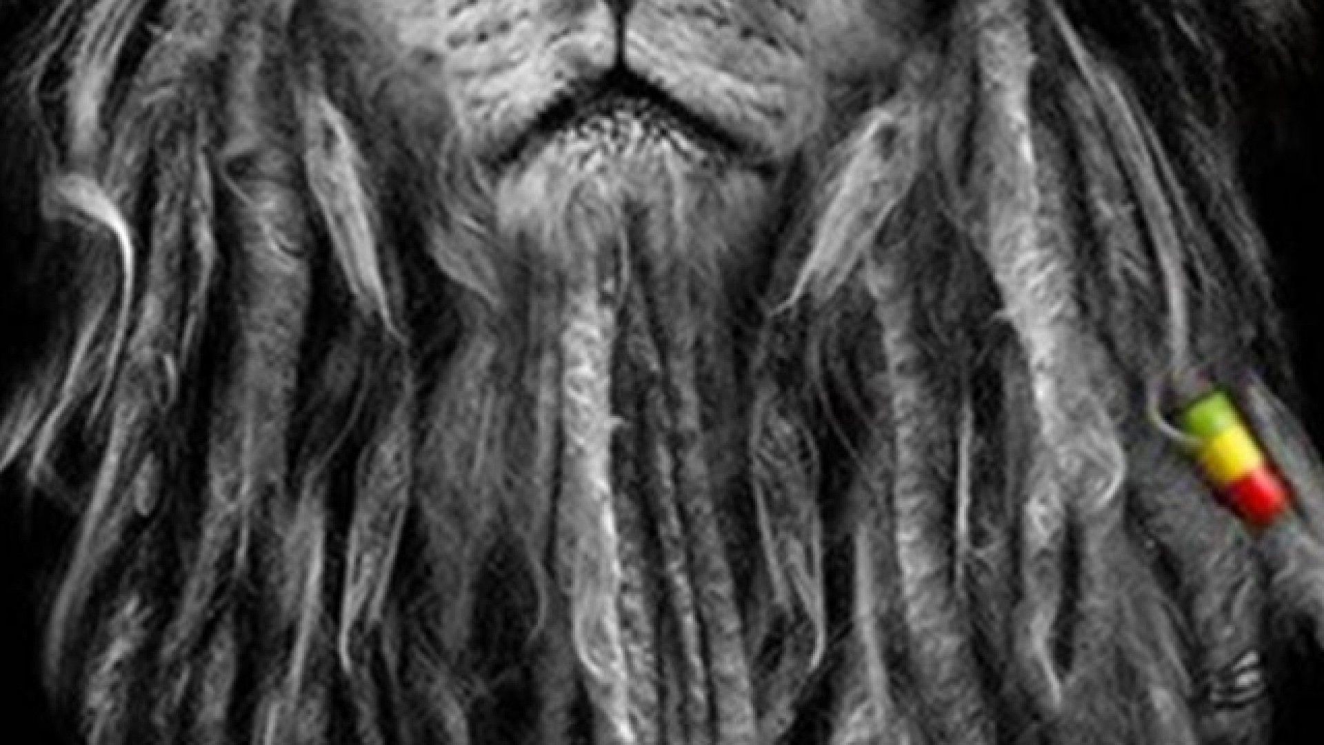 Rastafari Lion Wallpapers