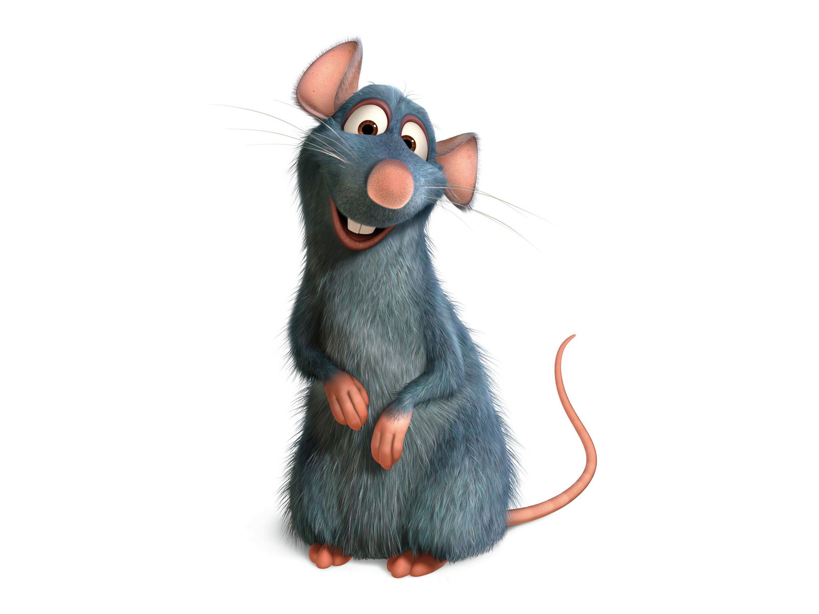 Rat Wallpapers