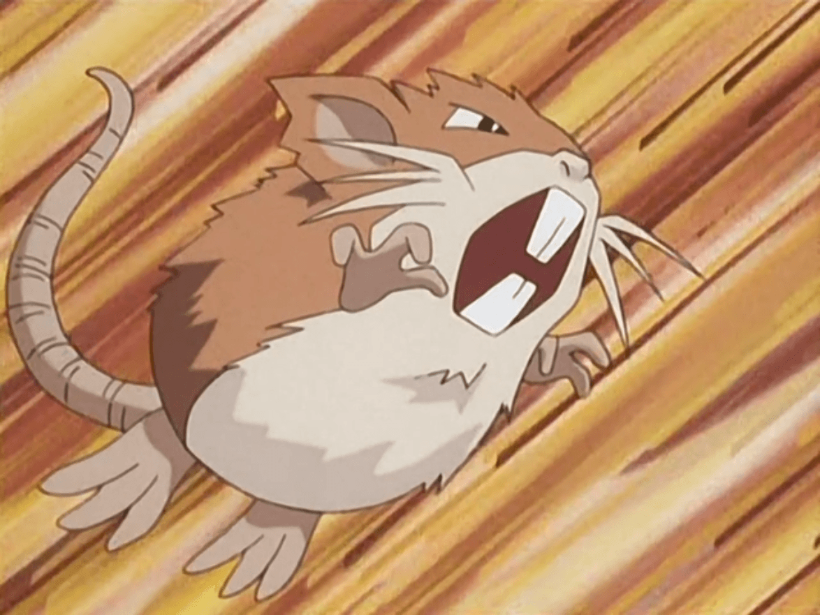 Raticate Hd Wallpapers