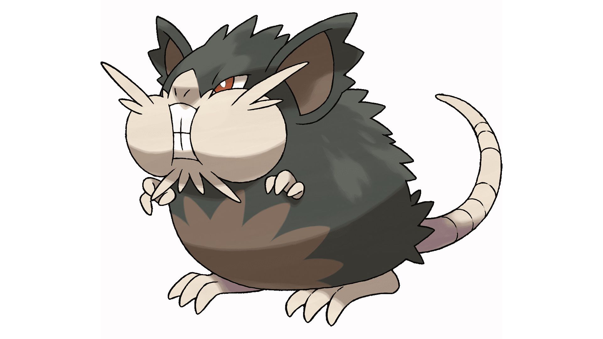 Raticate Hd Wallpapers