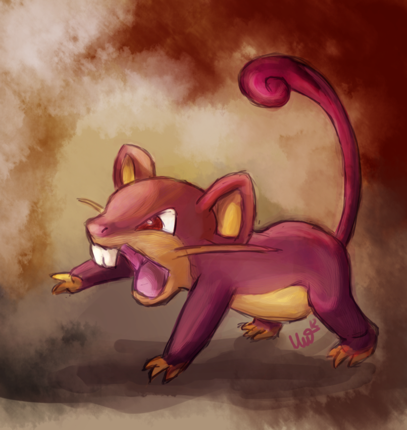 Rattata Hd Wallpapers