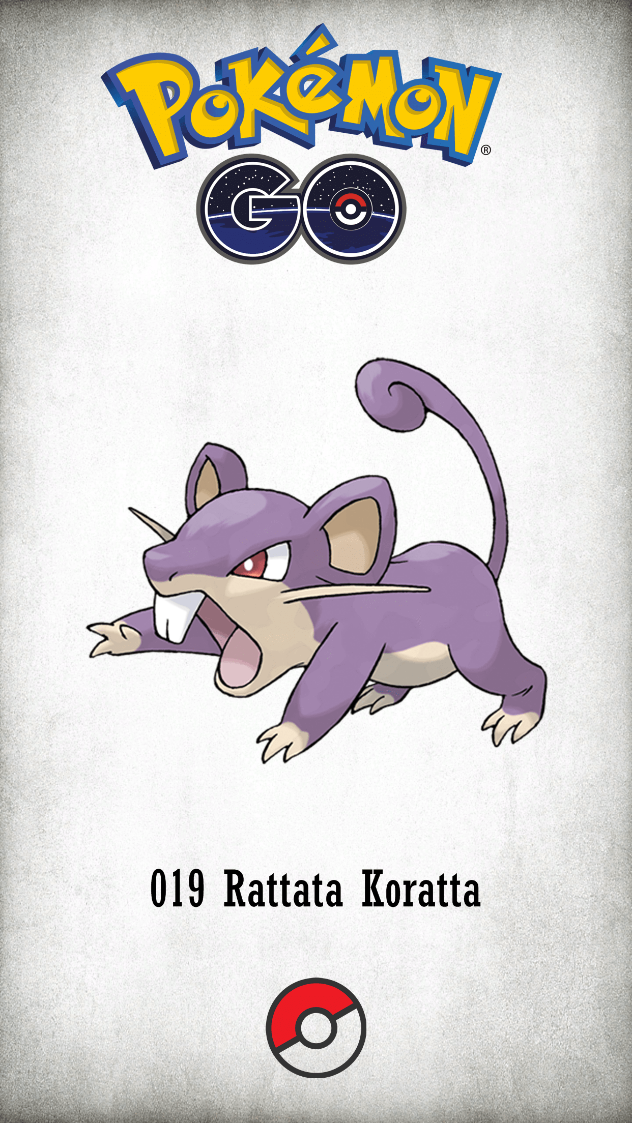 Rattata Hd Wallpapers