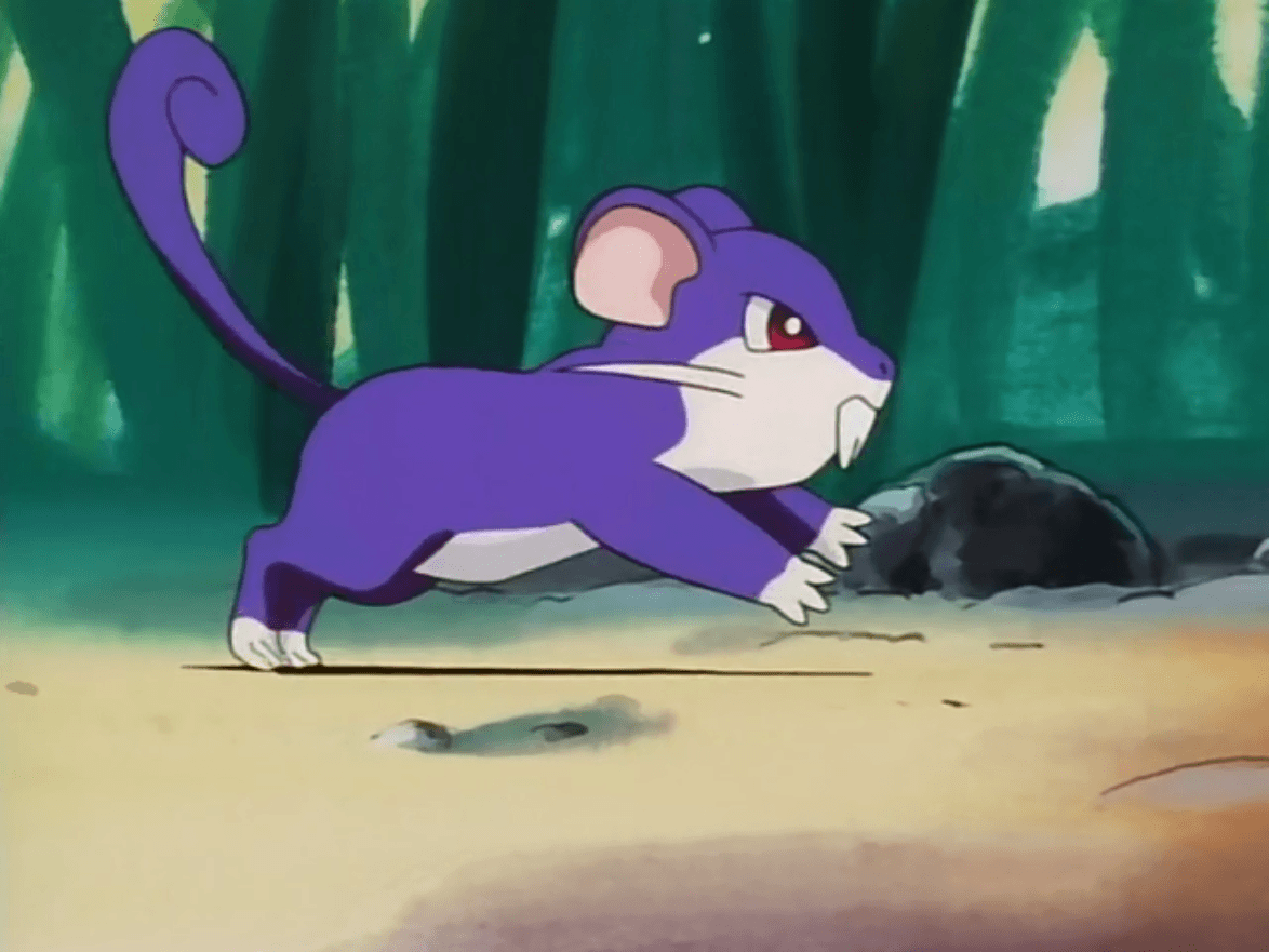 Rattata Hd Wallpapers