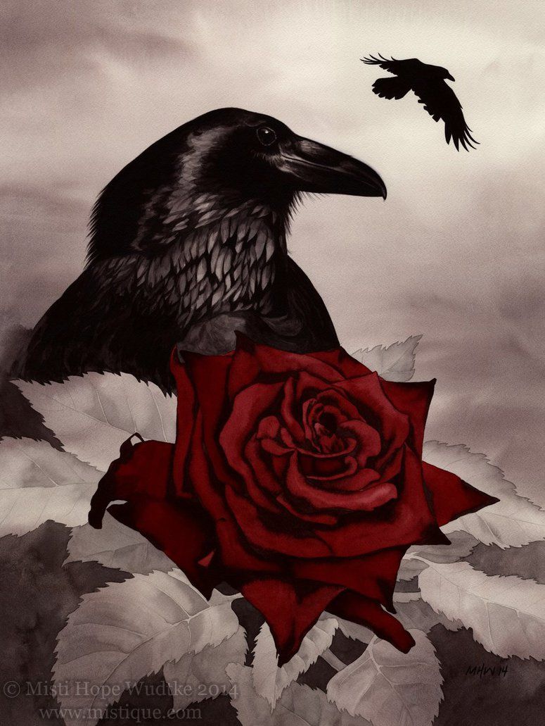 Raven And Rose Tattoo Wallpapers