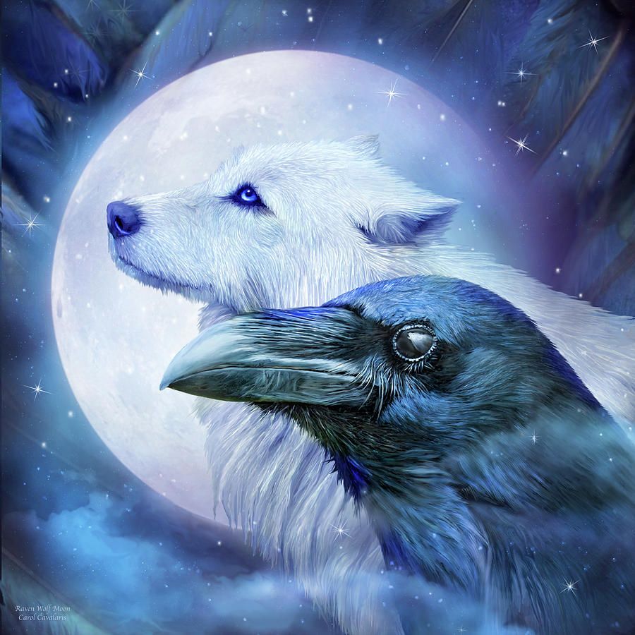 Raven And Wolf Wallpapers