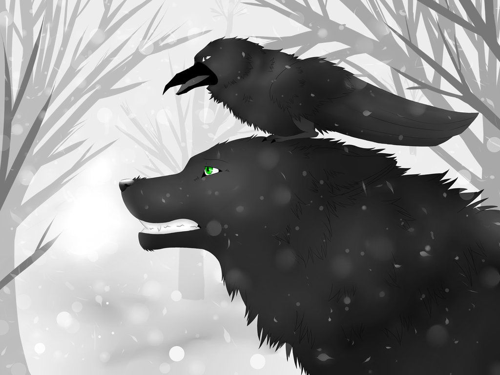 Raven And Wolf Wallpapers