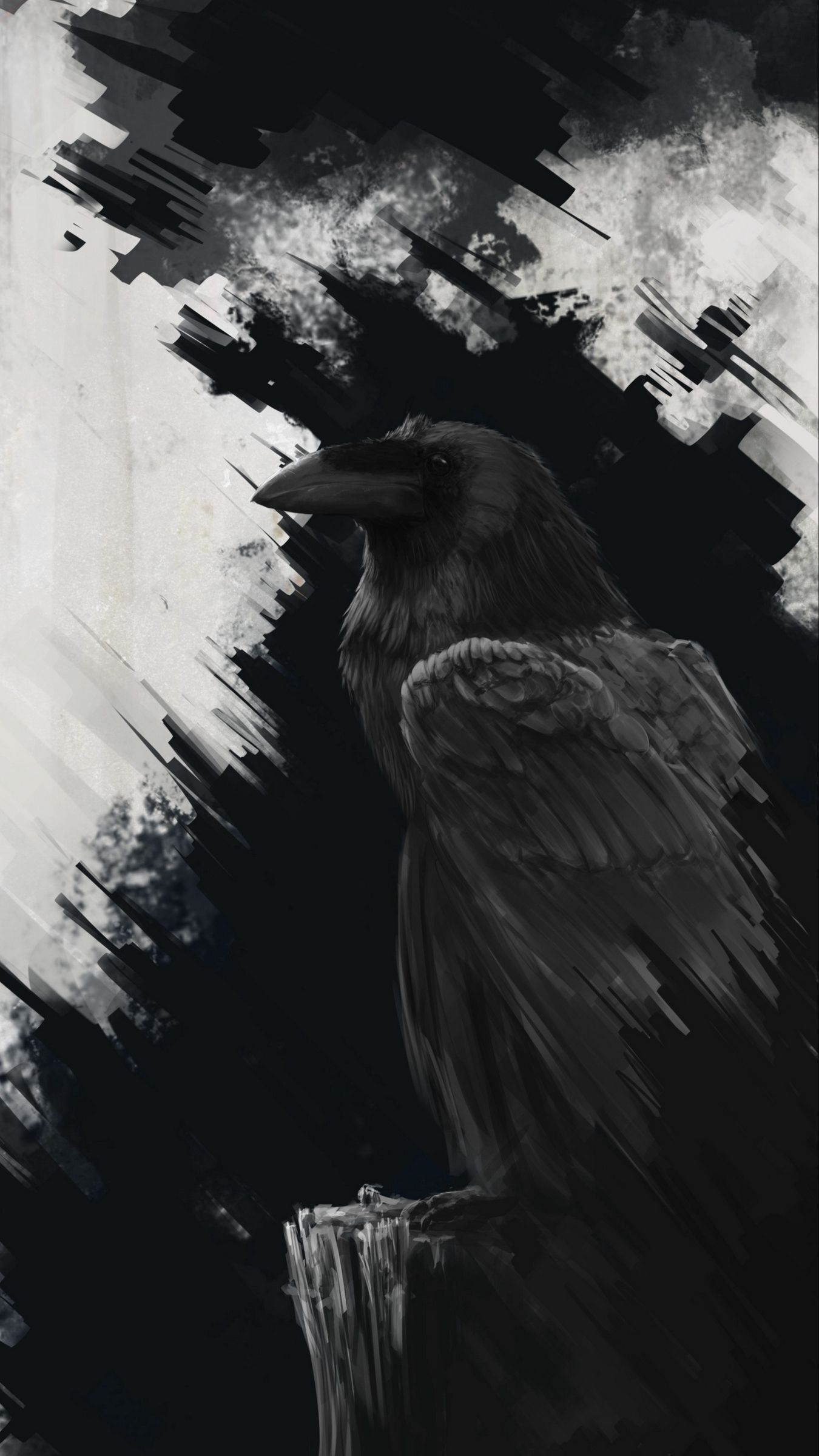 Raven Iphone Wallpapers