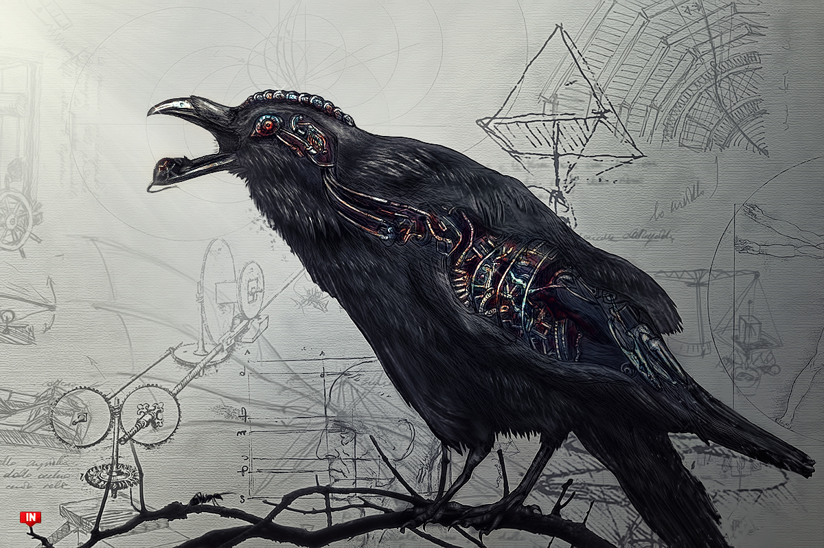 Raven Iphone Wallpapers