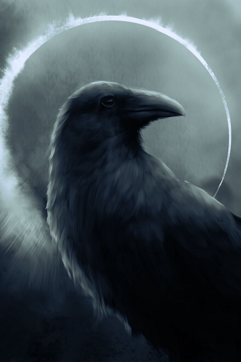 Raven Iphone Wallpapers