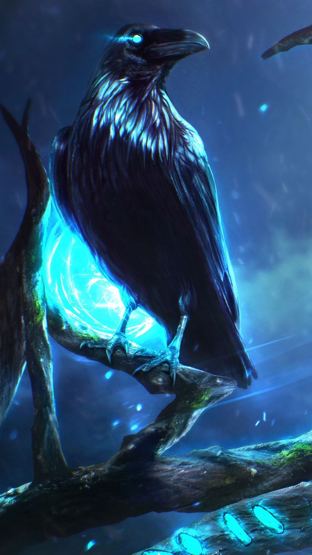 Raven Wallpapers