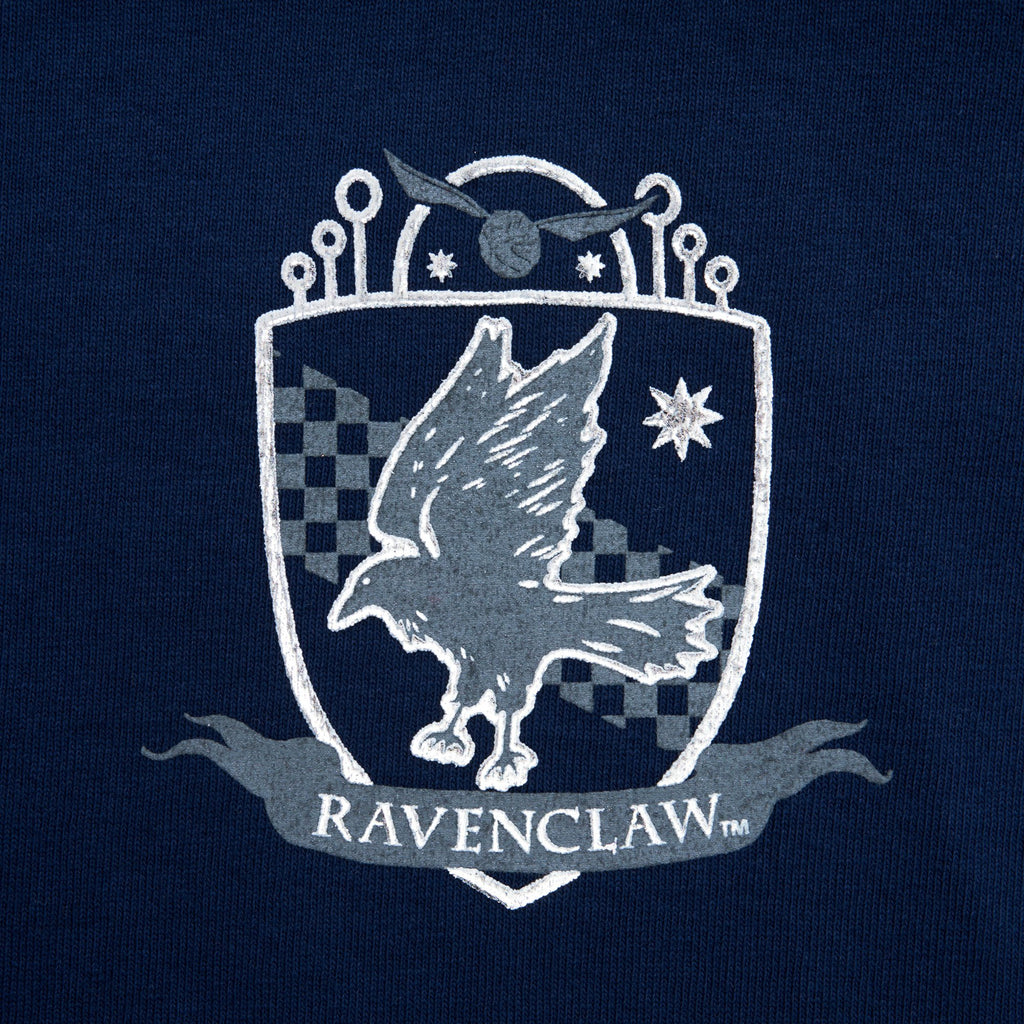 Ravenclaw Ipad Wallpapers
