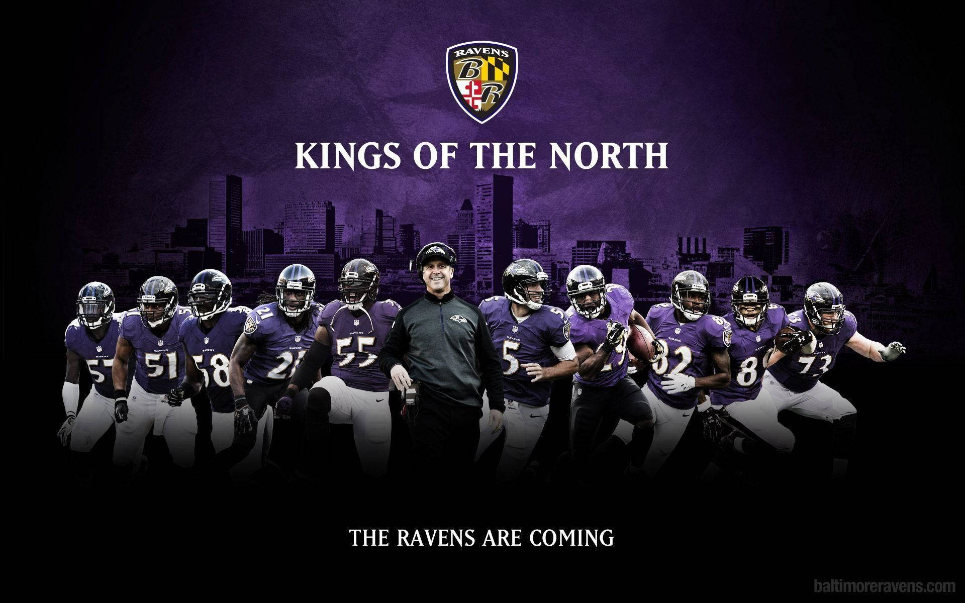 Ravens Wallpapers