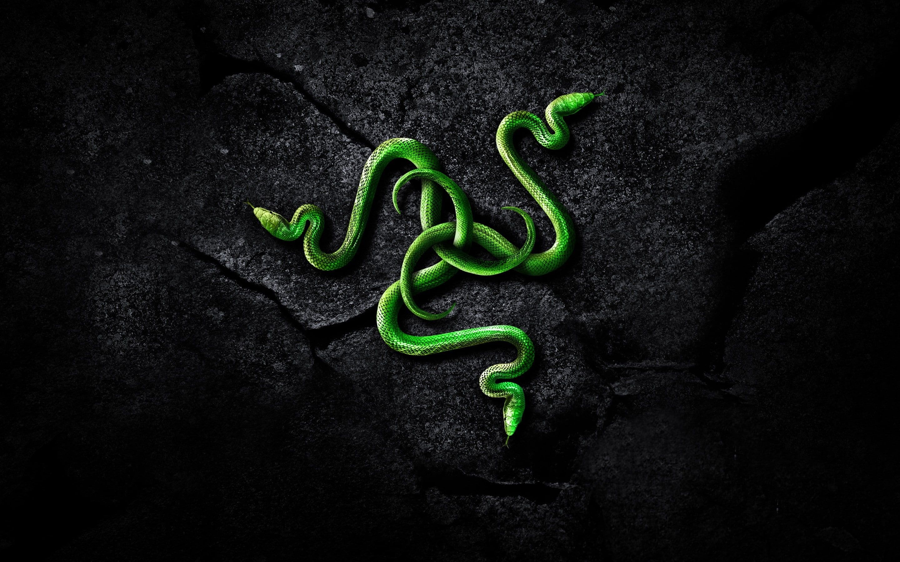 Razer 4K Logo Art Wallpapers