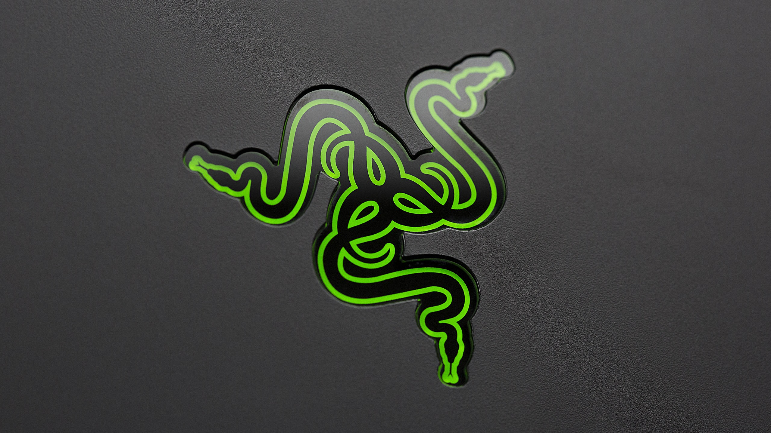 Razer 4K Logo Art Wallpapers