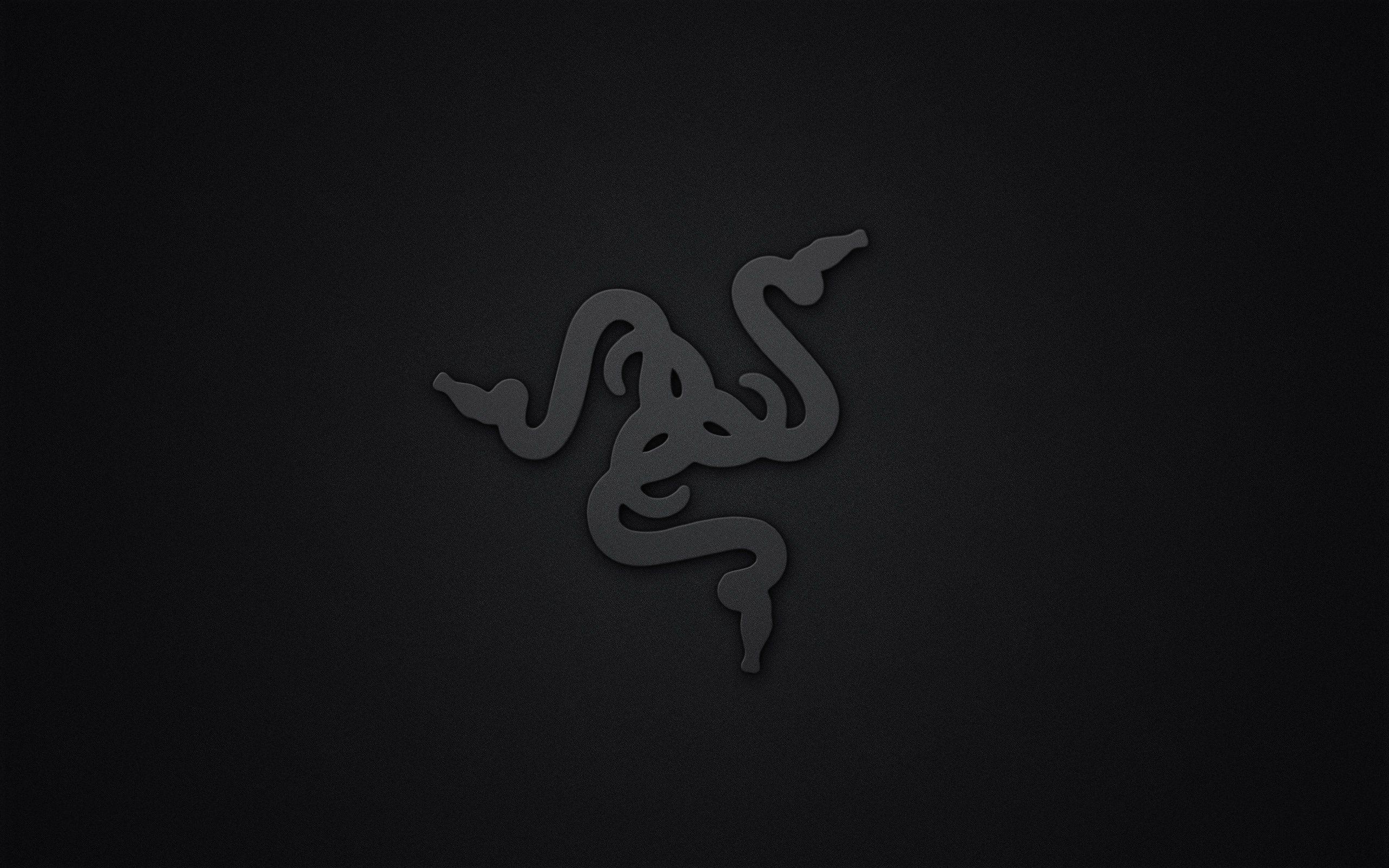 Razer 4K Logo Art Wallpapers