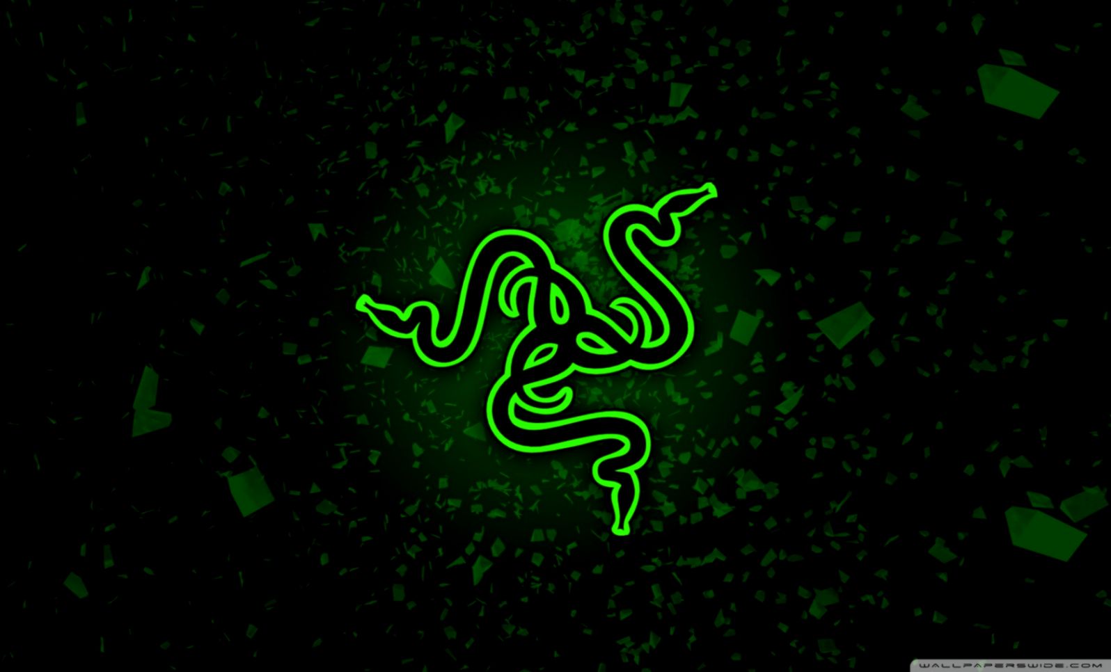 Razer 4K Logo Wallpapers