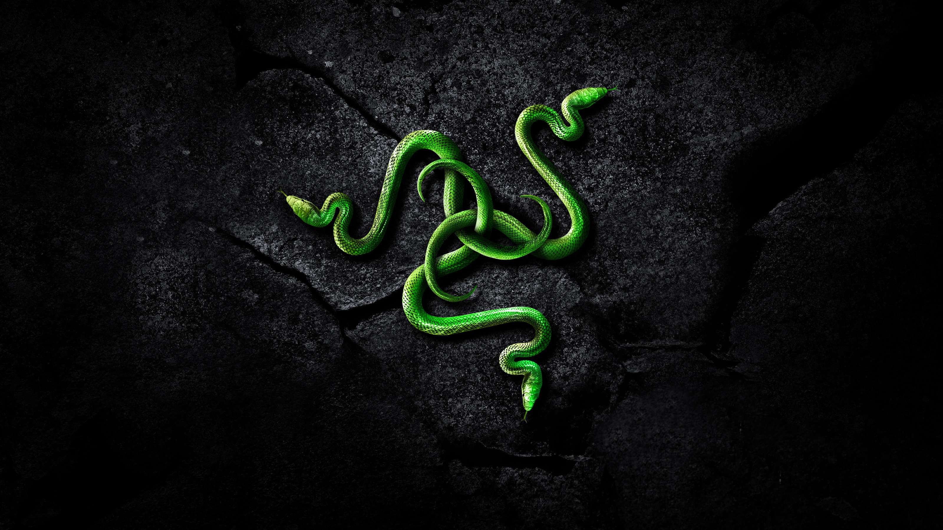 Razer Byte Art Wallpapers