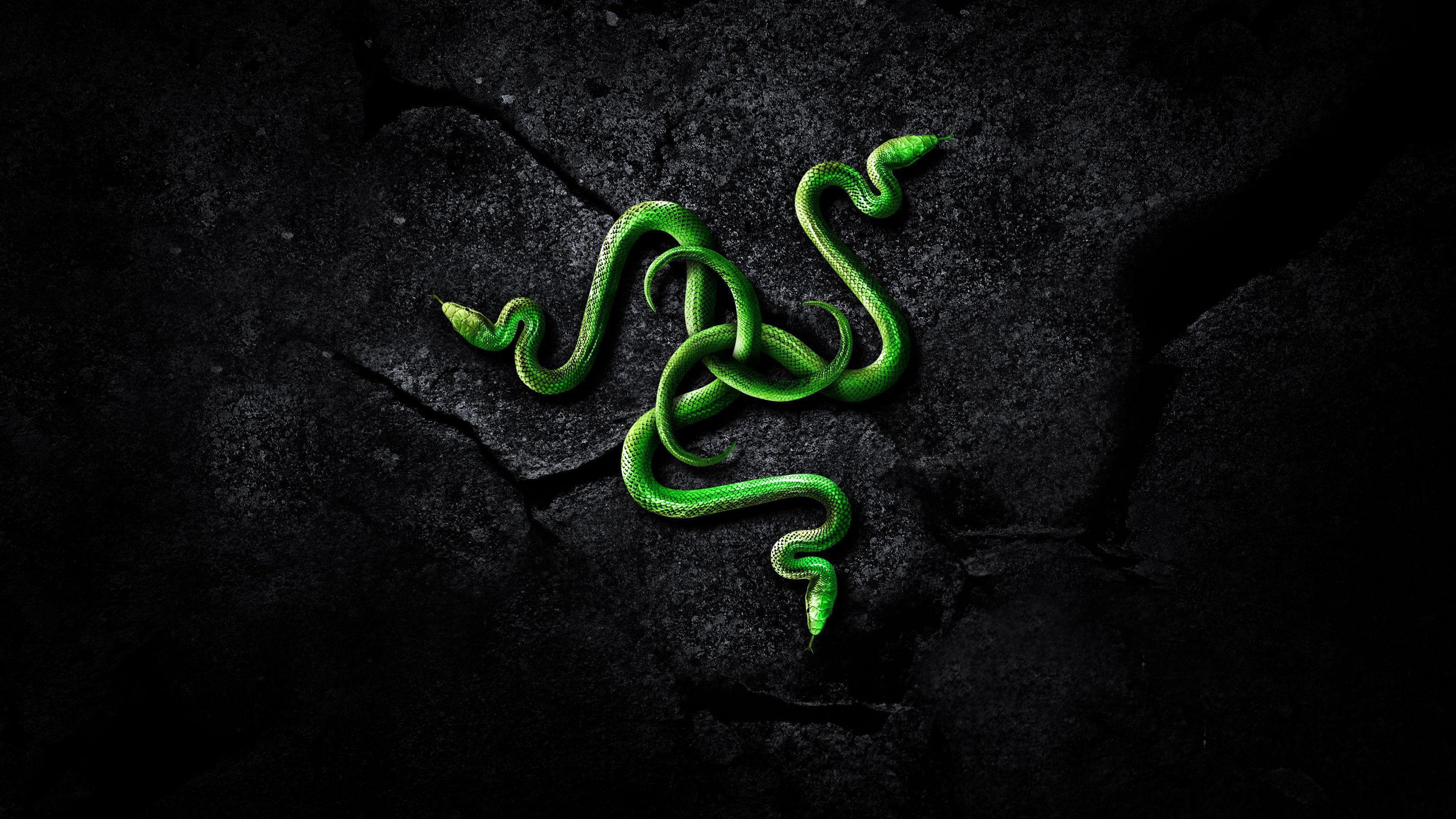 Razer Byte Art Wallpapers