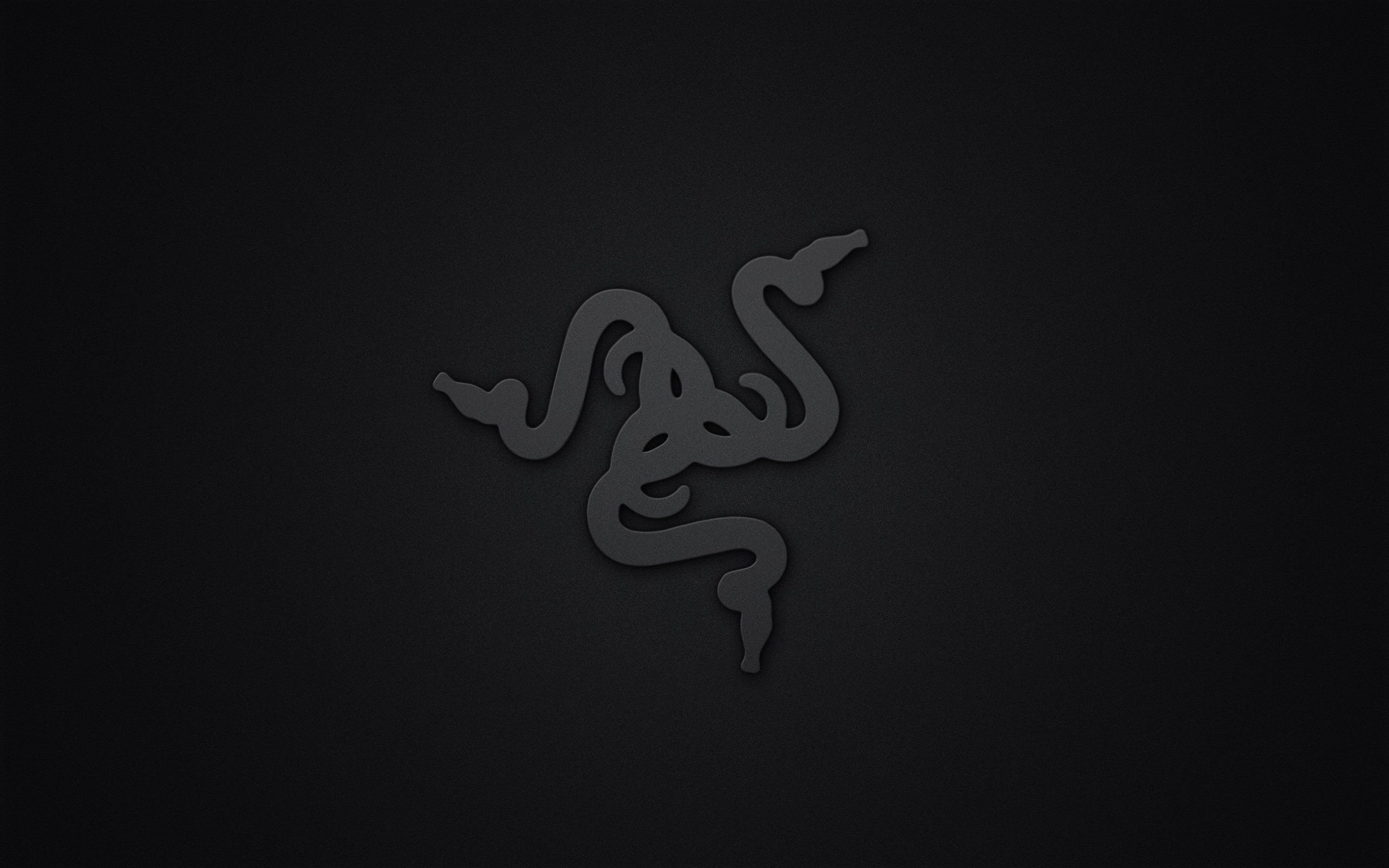 Razer Gamer Logo Wallpapers