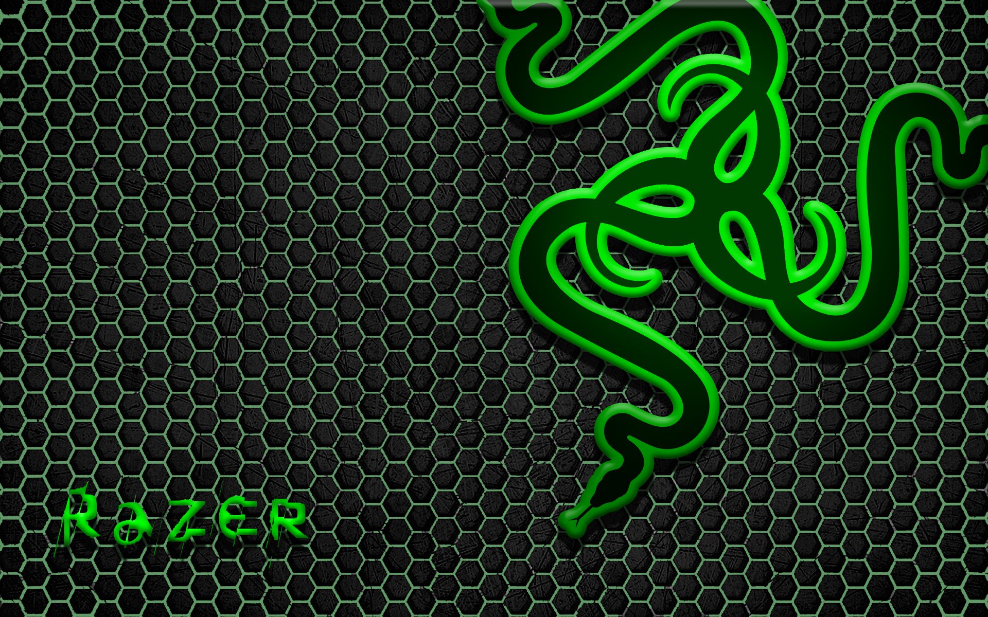 Razer Gamer Logo Wallpapers