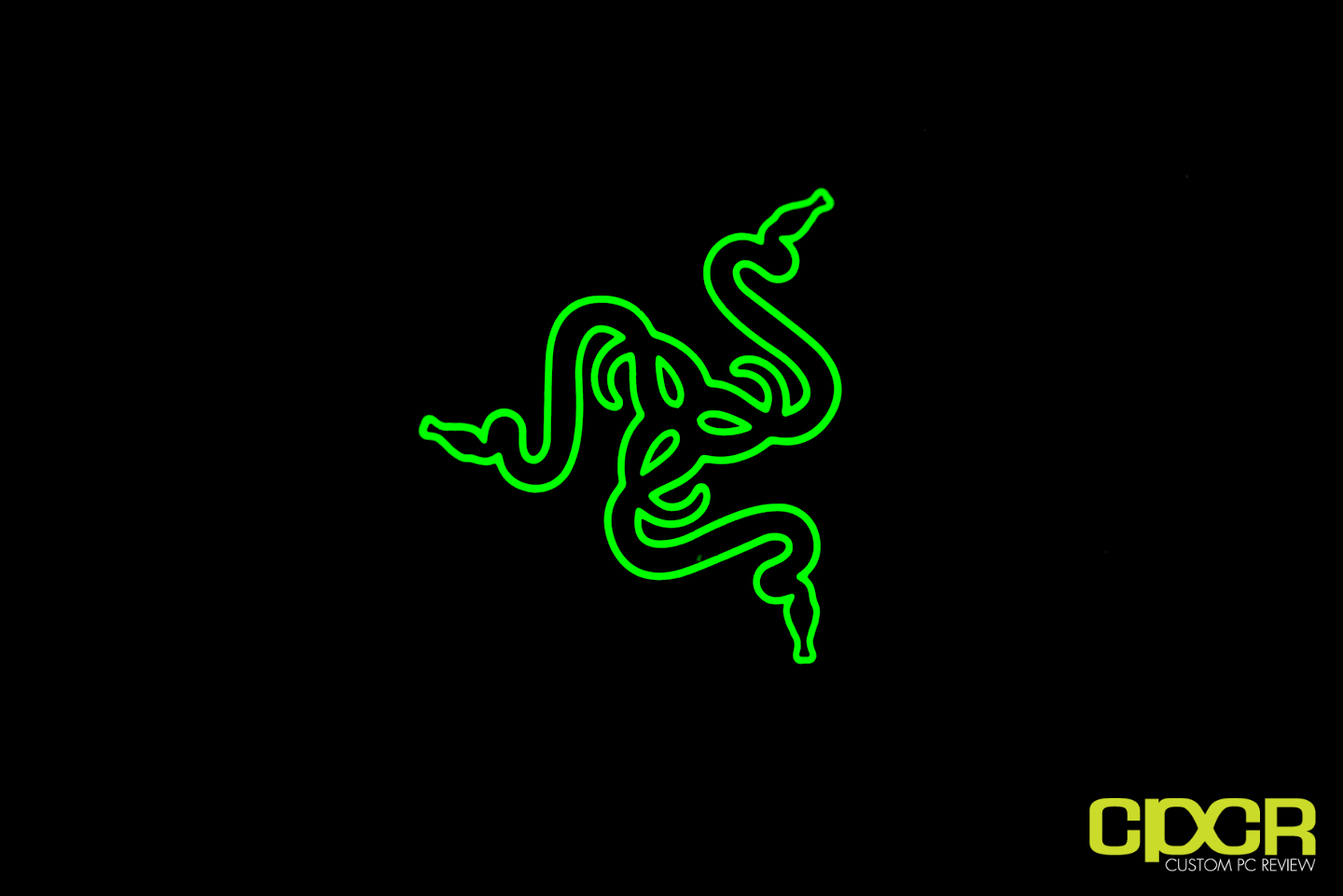 Razer Gamer Logo Wallpapers