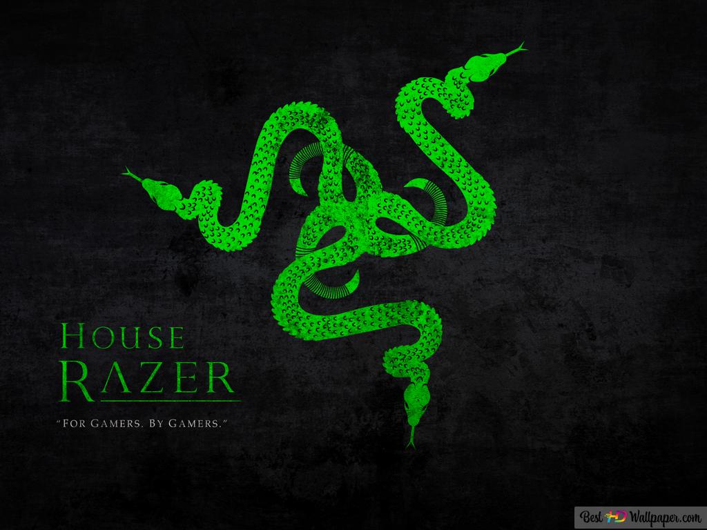 Razer Gamer Wallpapers