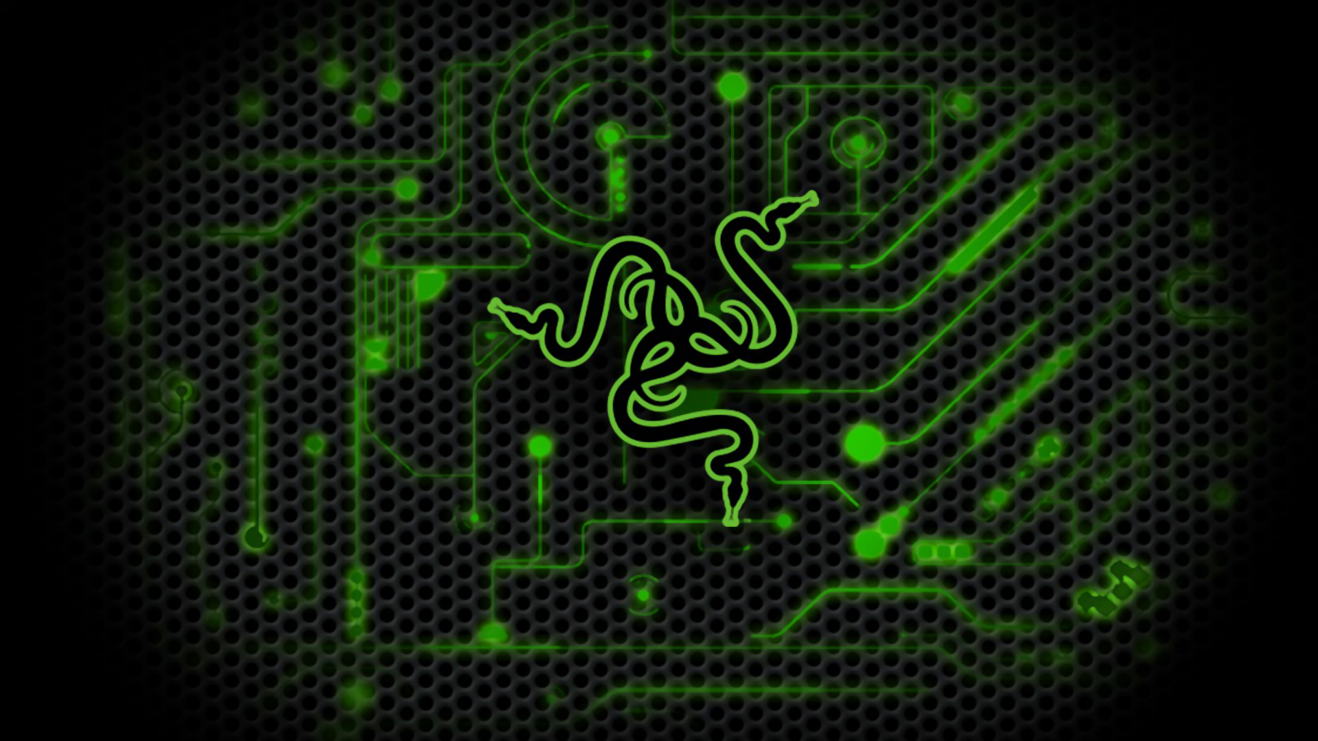 Razer Logo 1920X1080 Wallpapers